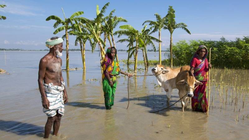 COP26: UK pledges £290m to help poorer countries cope with climate change