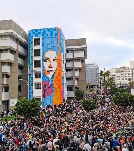 Pandemic tech and digital rights in Morocco