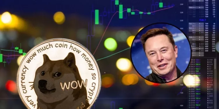 Dogecoin gains over 30% as Twitter accepts Elon Musk’s $44 billion buyout offer