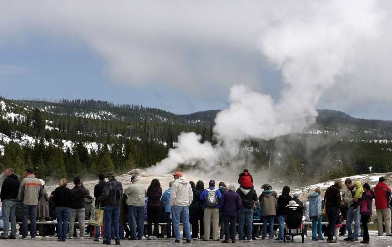 Yellowstone Visitor Dies After Bison Gores Her, Tosses Her 10 Feet