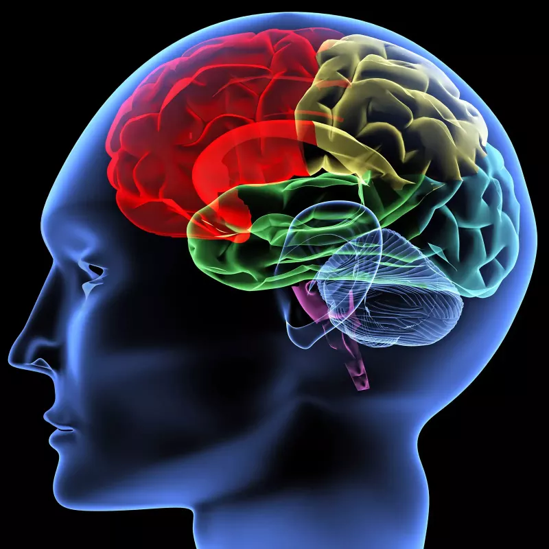 7 Proven Tricks In Neuroscience That Will Get You Smarter