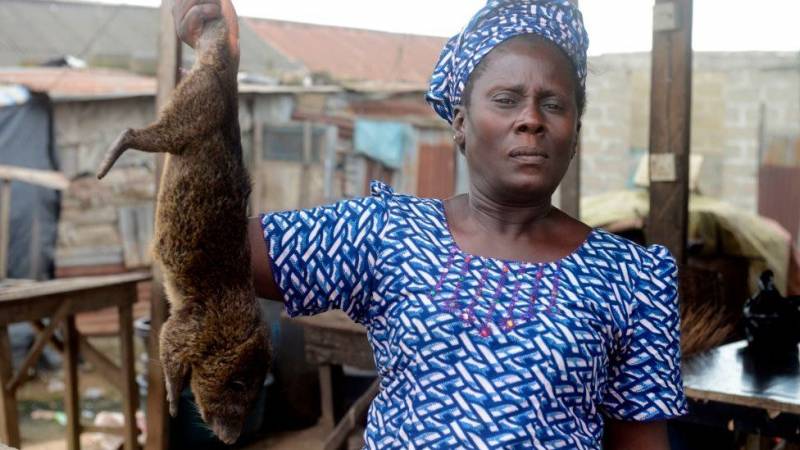 Monkeypox: Nigeria Bans Bushmeat To Prevent Virus Spread