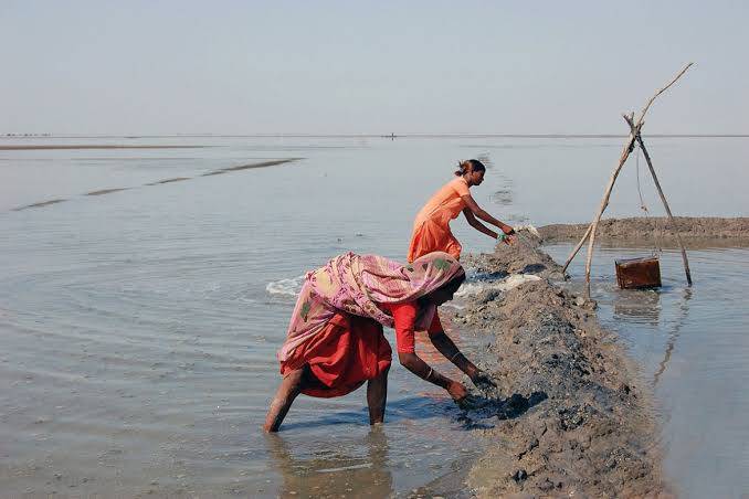 Why Salt Farmers Risk Their Lives To Harvest Desert Salt For $4 A Ton | Big Business