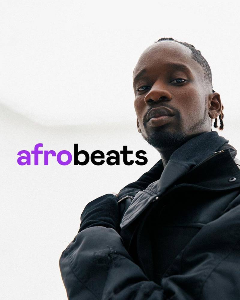 Mr Eazi, Black Coffee and Ajebutter22: The African music artists backing startups