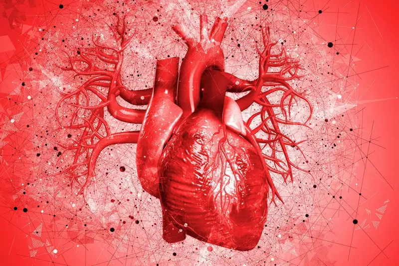 Cardiologists Debunk 12 Heart Myths | Debunked