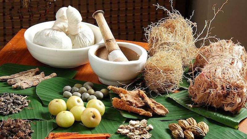 How Nigeria can make N13.58tr yearly from traditional medicine