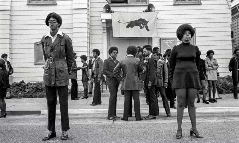 Sisters of the revolution: the women of the Black Panther party