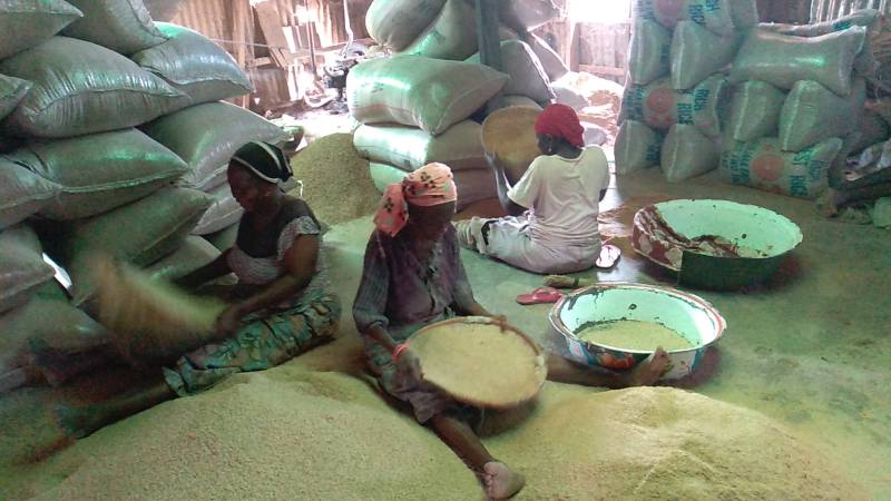 Tiamin Rice Company: Nigeria to begin rice exports