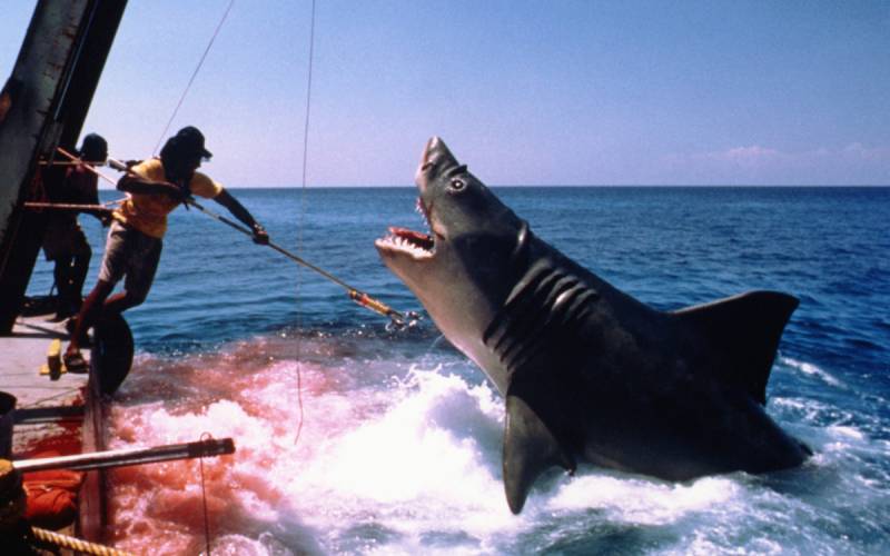 Spielberg tells of guilt over harm hit film Jaws may have done to sharks