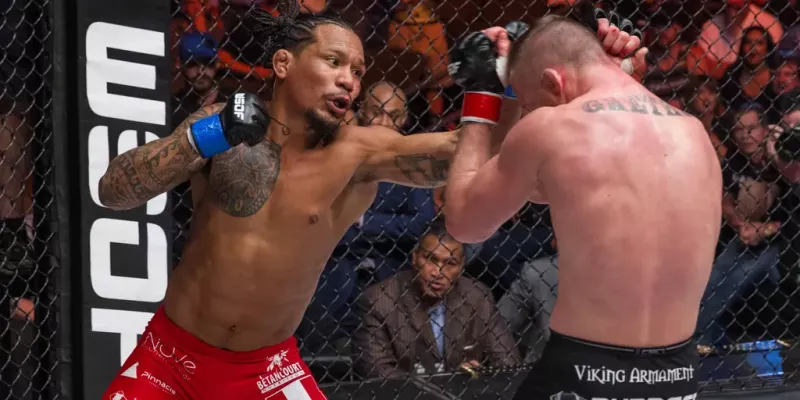 Luis Palomino VS Dat Nguyen