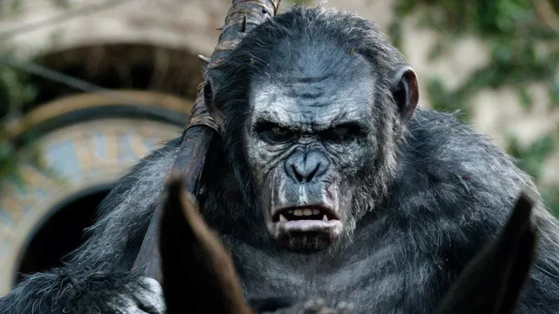 Every Ape in Planet of the Apes Explained | WIRED