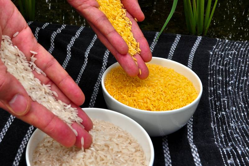 The problem with rice no one is talking about