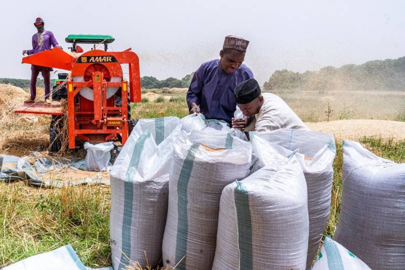 Stakeholders targets Nigeria’s wheat production