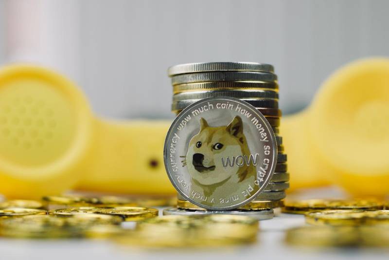 Dogecoin jumps after Elon Musk replaces Twitter bird with Shiba Inu