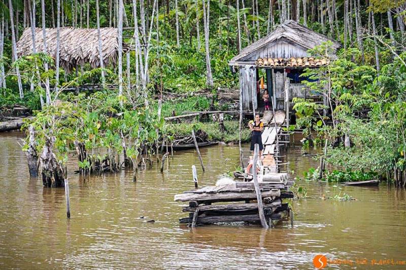 The waters of the Amazon