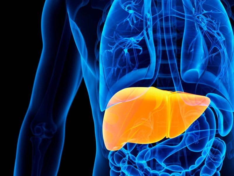 How To Improve The Working Of The Liver