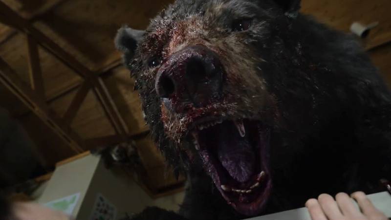 Bear Expert Rates 9 Bear Attacks In Movies And TV 