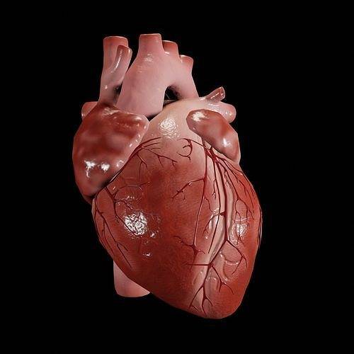 Permanent Artificial Hearts Are Closer Than You Think