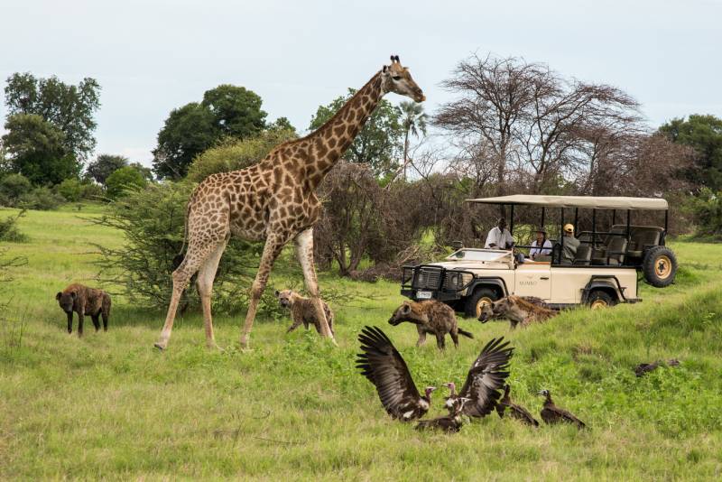 BOTSWANA TRAVEL DOCUMENTARY | 4x4 Safari Road Trip feat. Victoria Falls