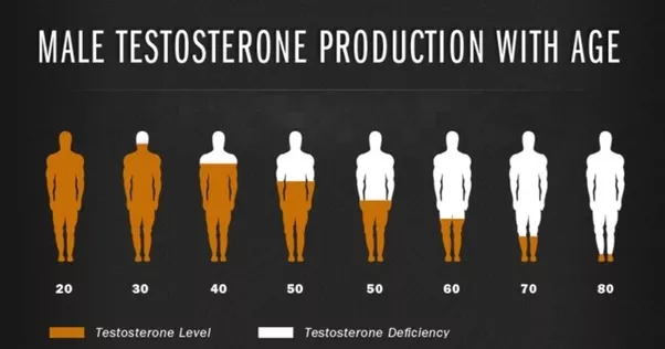 9 Unhealthy Foods That Raise Testosterone Levels