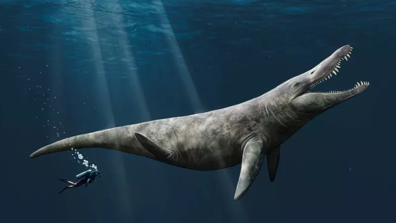 Size of a Jurassic sea giant found due to fossil discovery - New Study