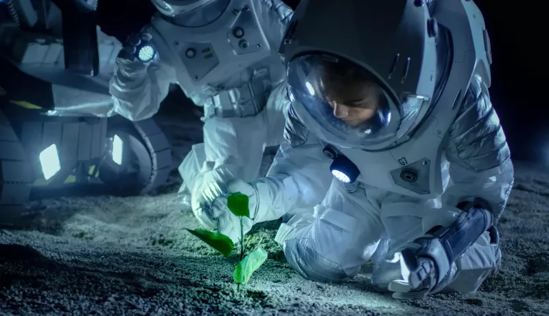 Astronauts Plan to Grow Plants on the Moon