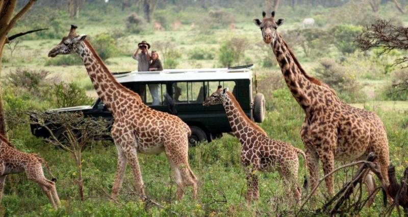 I was bored of safari UNTIL I CAME HERE! Masai Mara, Kenya