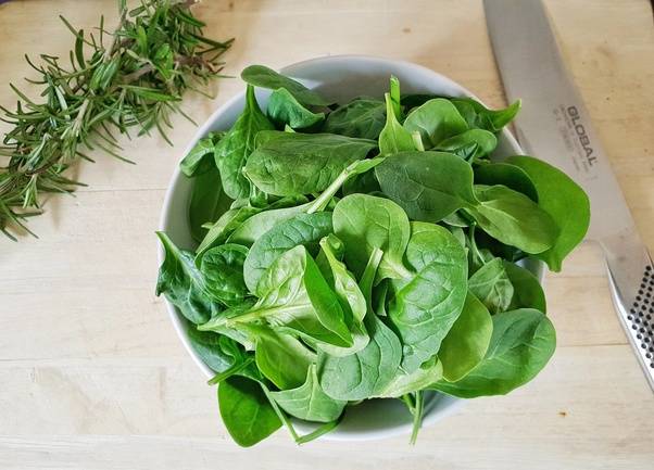 10 Best Vegetables You Should Eat Daily