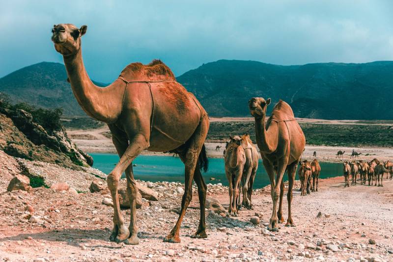 Why OMAN should be on your bucket list