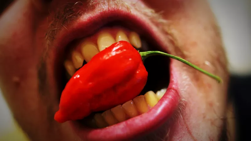 Why we like spicy food, according to science