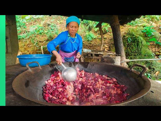 Best Ever Food Review Show - Hmong Army Cooks Huge Jungle Pig and RATS