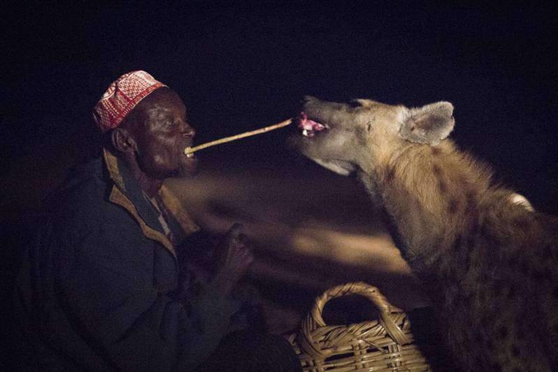 Drew Binsky - Feeding Dangerous Hyenas in the Wild (Ethiopia)
