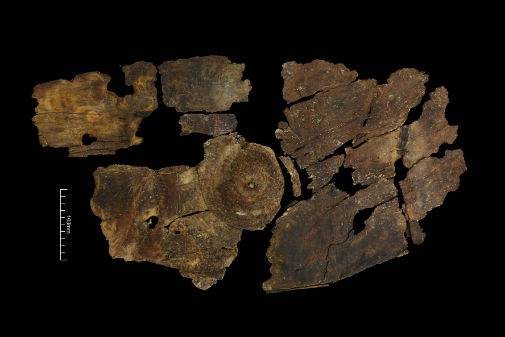 The Iron Age Shield... that's made of bark? The Enderby Shield