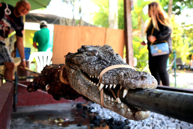 Crocodile Lechon!