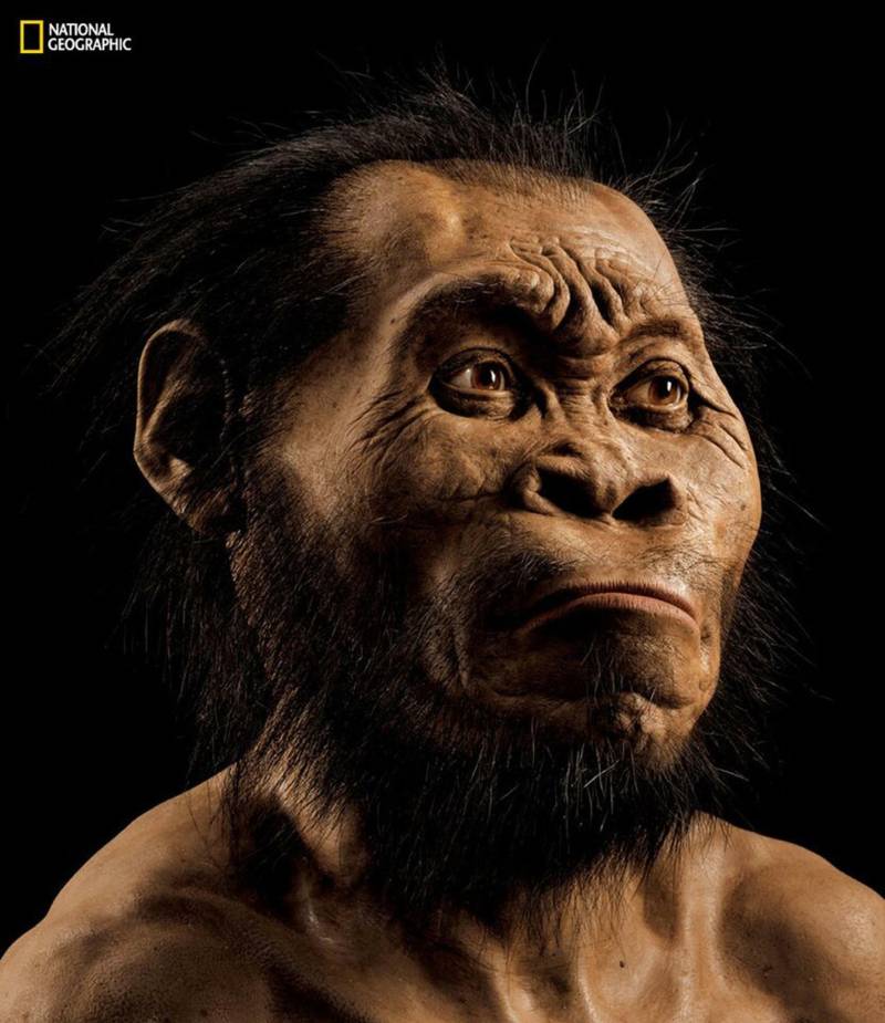 300,000-Year History of Human Evolution