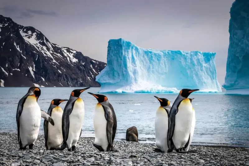 Antarctic sea ice melting fast