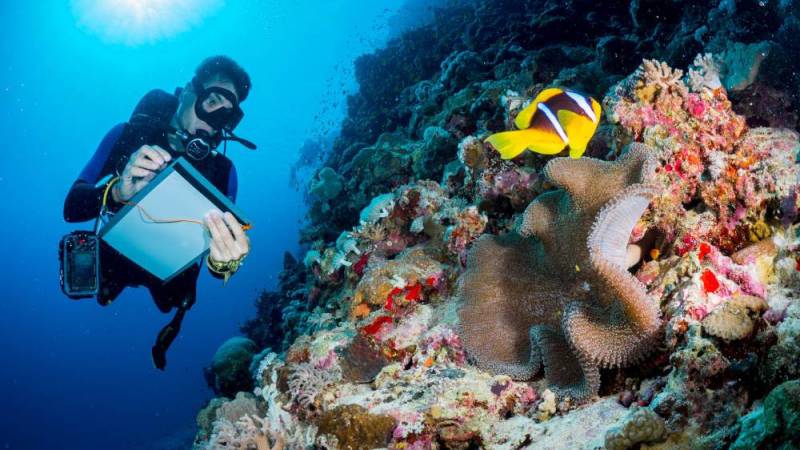 Marine Biologist Answers Fish Questions From Twitter 
