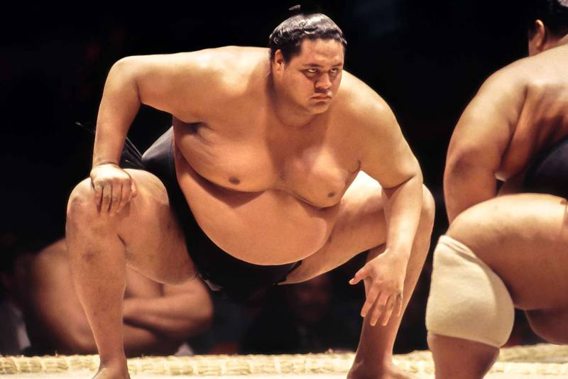I Lived in a Sumo House for a Day