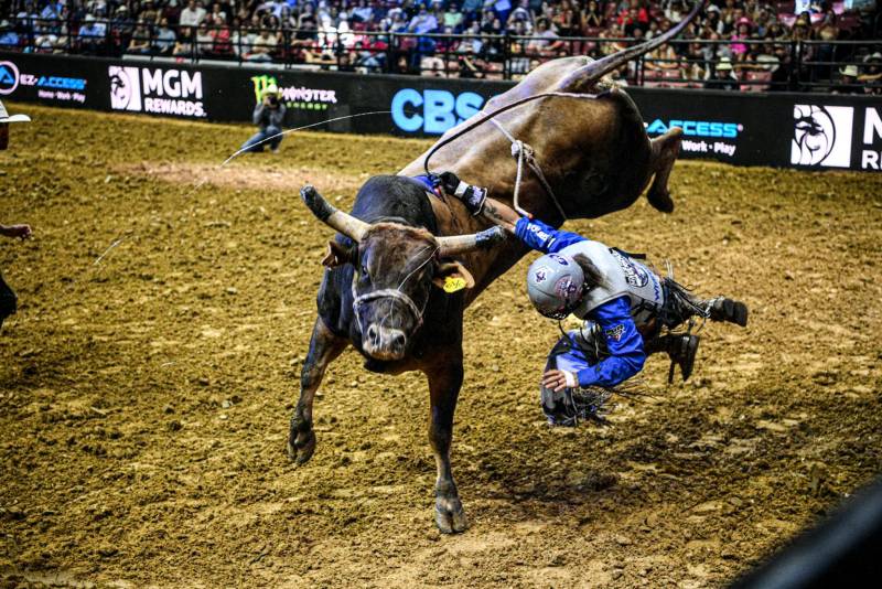 PBR -  Oklahoma City Wildcatters Days