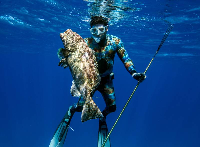 Spearfishing the Bahamas!