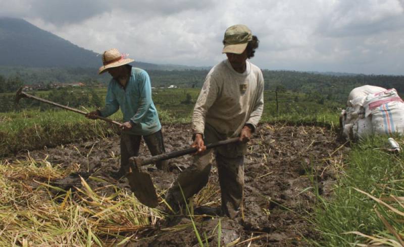 Sierra Leone Land-grabbing and the fight for justice