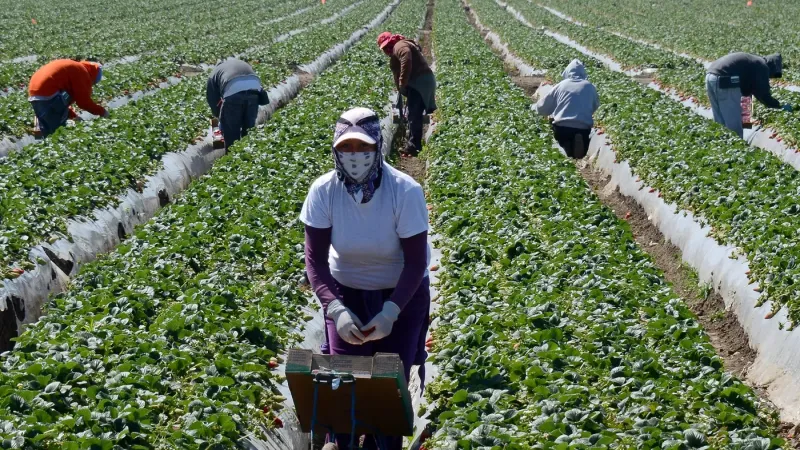 The fight against exploitation of migrant workers in Italy