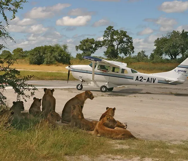 Fly-in Safari Adventure