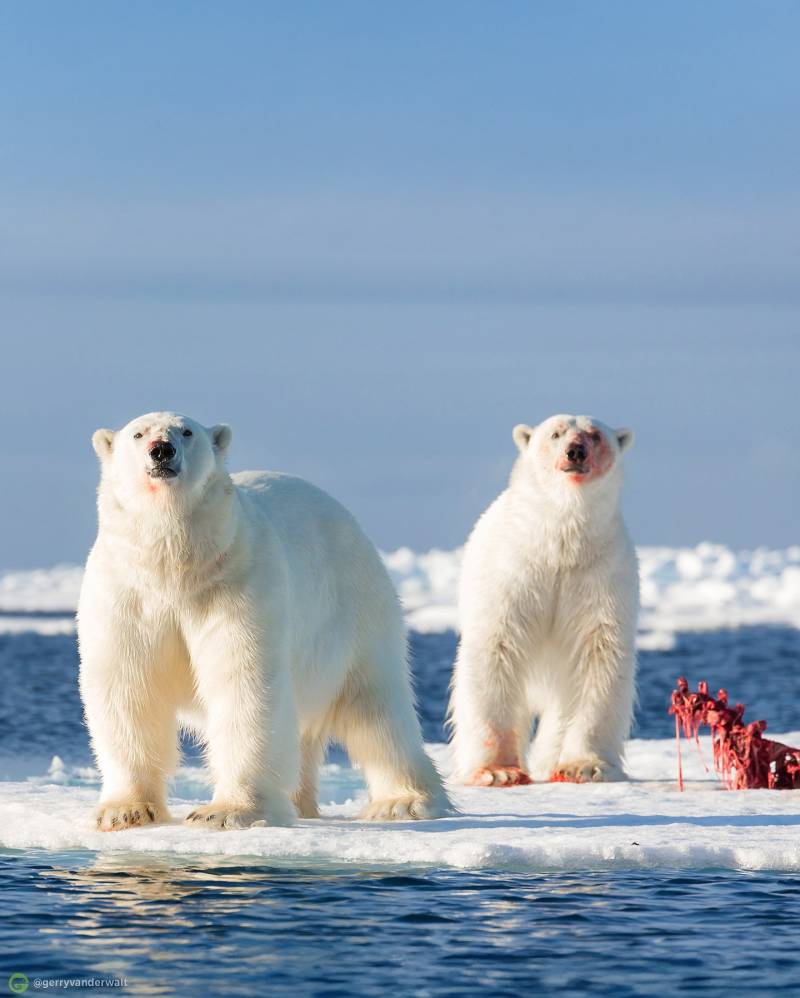 Arctic Circle, Svalbard