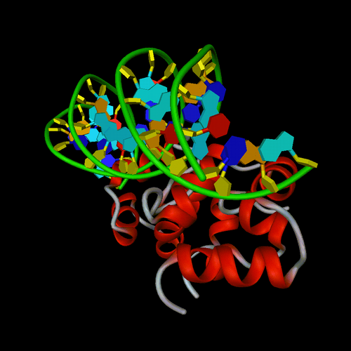 How AI Solved Protein Folding and Won a Nobel Prize