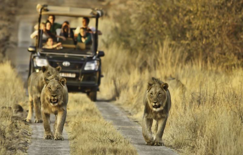 Namibia national park