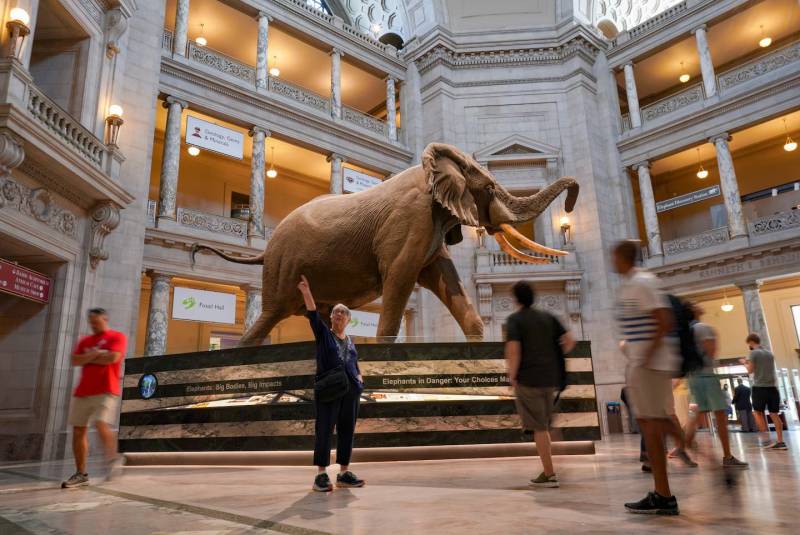 The Smithsonian National Museum of Natural History - 148 Million Specimens