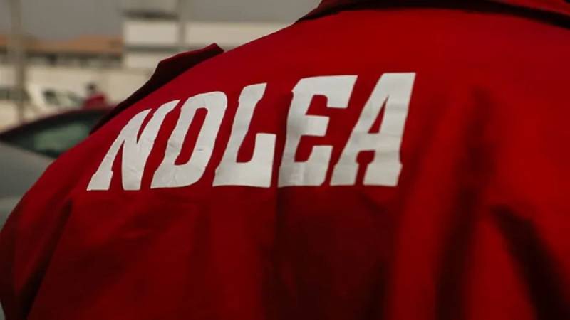 NDLEA Exposes Cartel That Framed Pilgrims