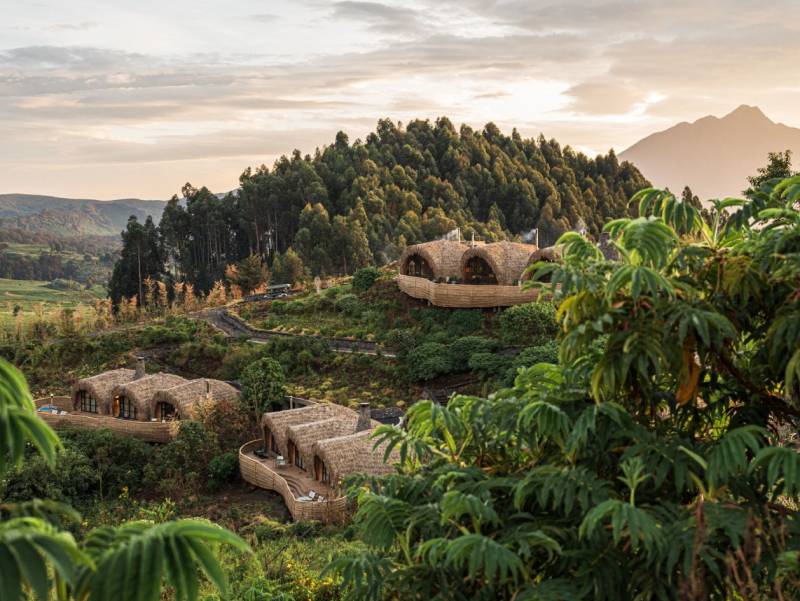 Seeking Wellness: Wilderness Bisate Reserve