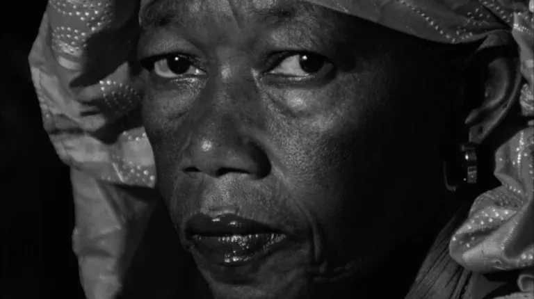 All Day I Dream About Sport